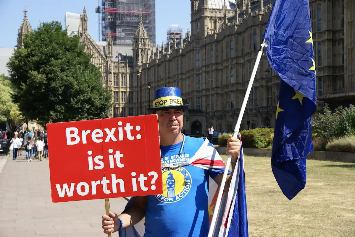 A BREXIT demonstrator at Westminster Green on July 13, 2018.